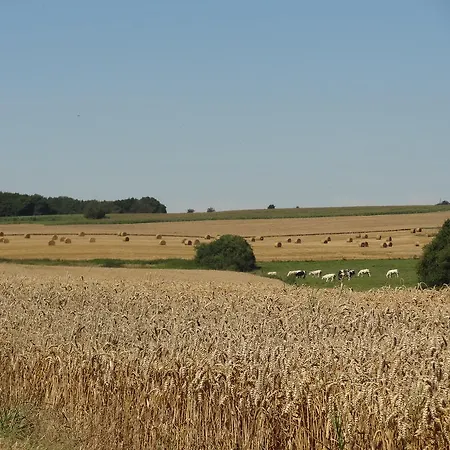 L'annexe Du Moulin Franchimont