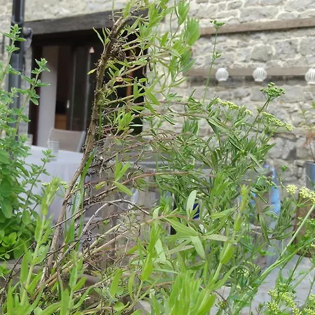 بيت ضيافة L'annexe Du Moulin