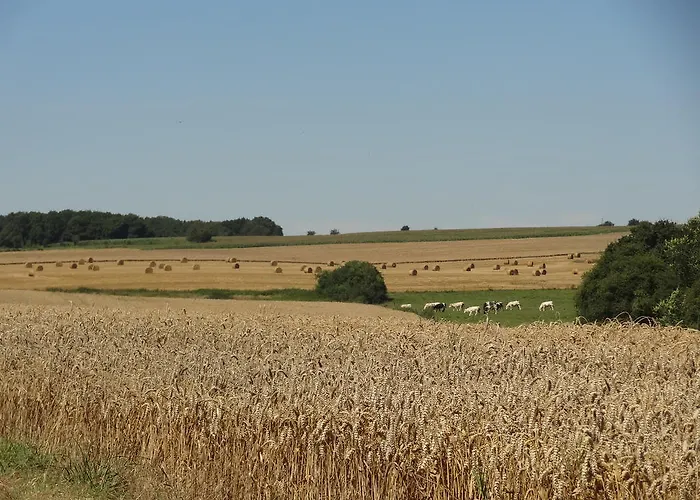 L'annexe Du Moulin Franchimont