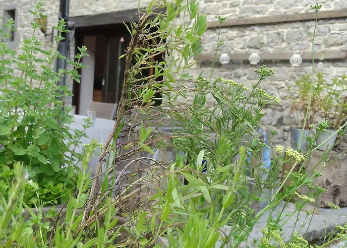 Gasthuis L'annexe Du Moulin